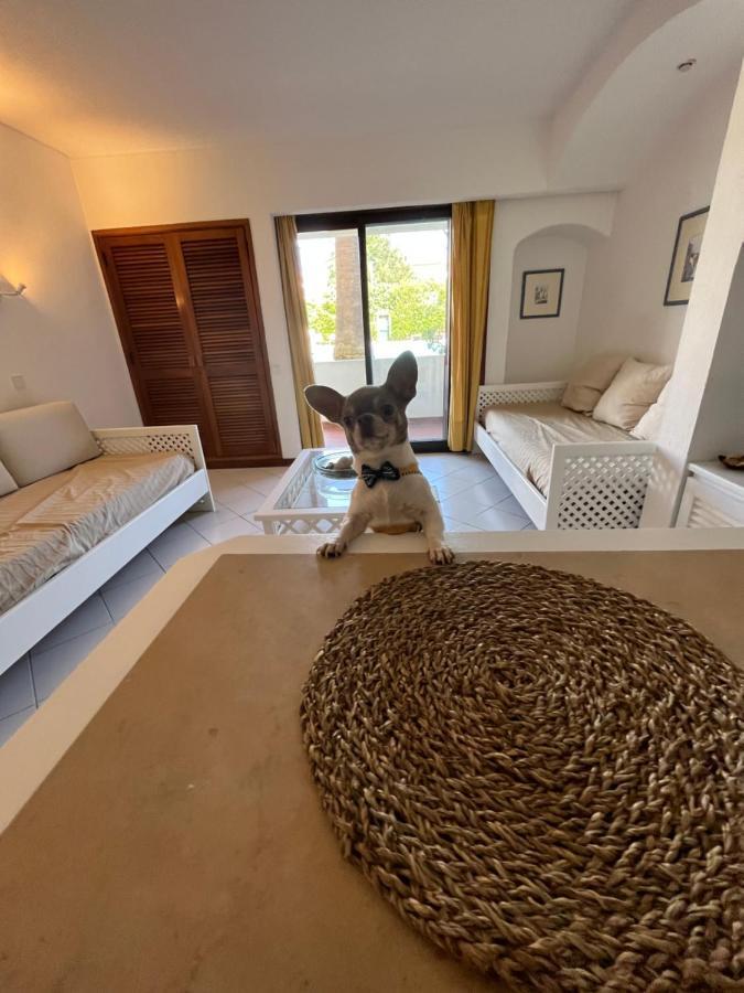 Lv Apartment Albufeira Luaran gambar